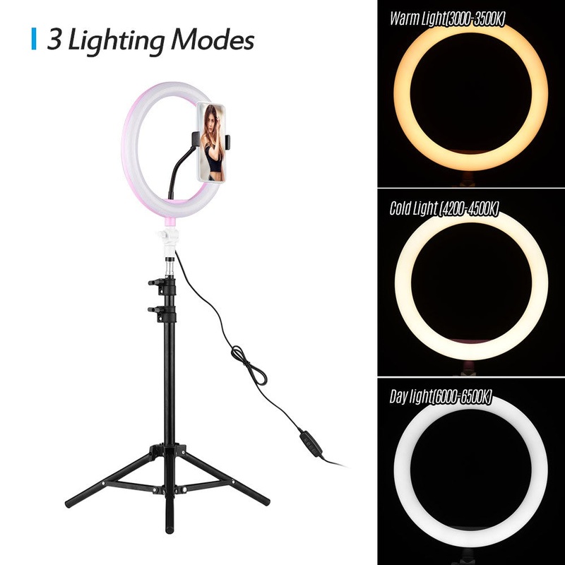 Pxel RK20 LED Ring Light 10-inches 26cm Bi-Color with 200cm 6ft Light Stand